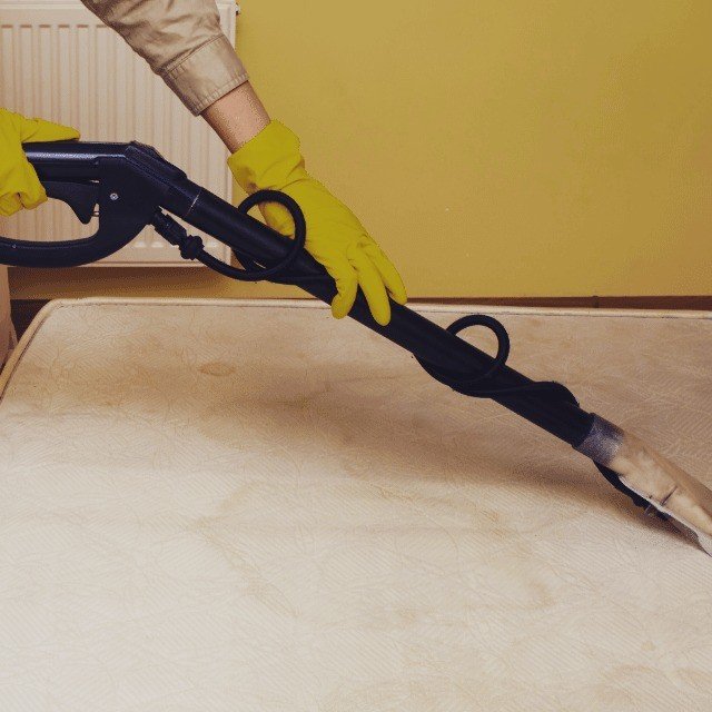 366934772_636041771840494_8938384874320342852_n